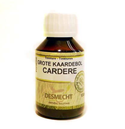 Grote kaardebol 100ml (moeder tinctuur)