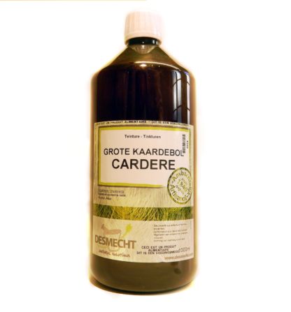 Cardère sauvage 1litre (teinture mère)