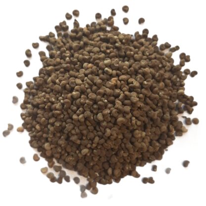 Musk mallow (seed)