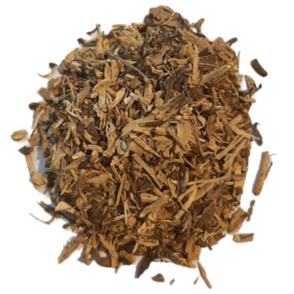 Angelica (root)