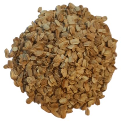 Angelica (seed)