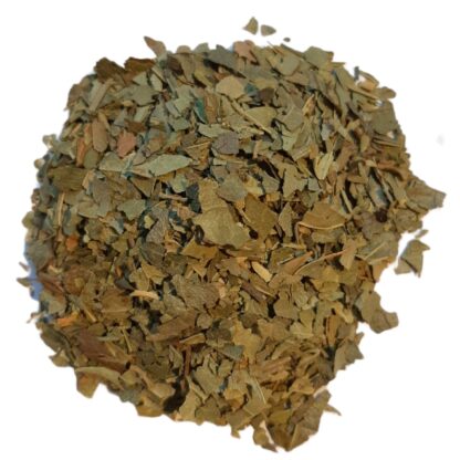 Bolde (leaves)