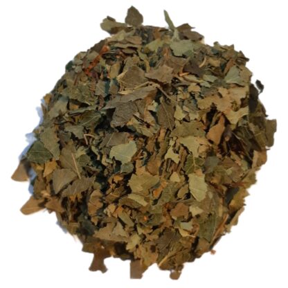 Birch (leaf)