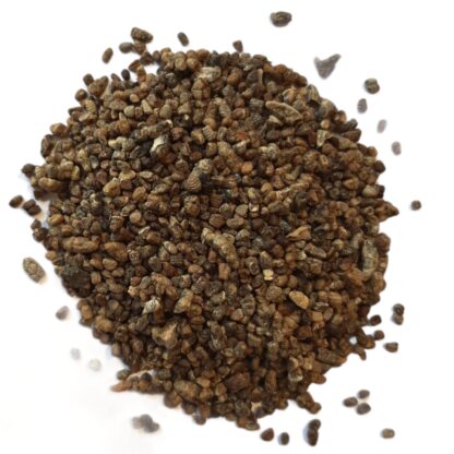 Cardamom (black seed)