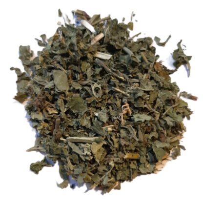 Catnip (herb)