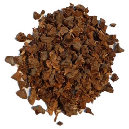 Cypress (nut)