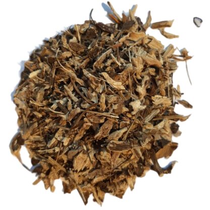 Purple coneflower (Echinacea) (root)
