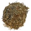 Herbe au chantre (Erysimum) (herbe)