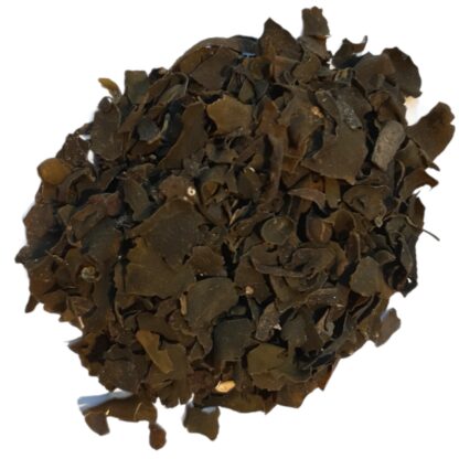 Fucus