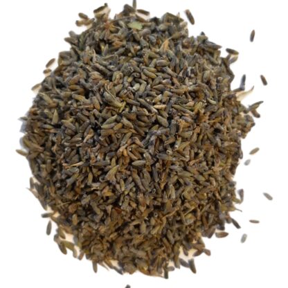 Lavander real (flower)