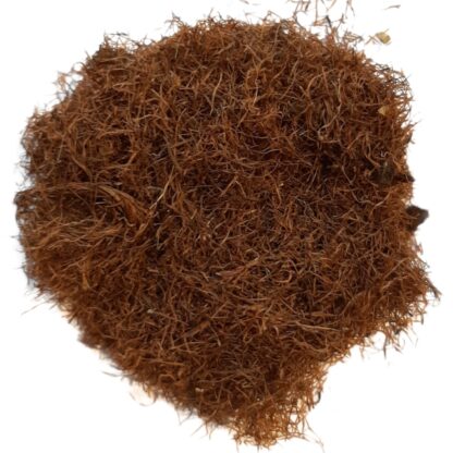Cornsilk (cut)