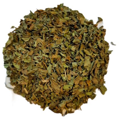 Mint Spear- (leaf)