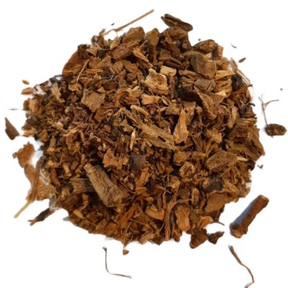 Patience dock (root)
