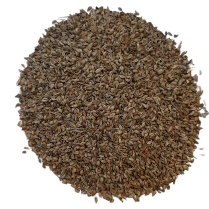 Parsley (seed)