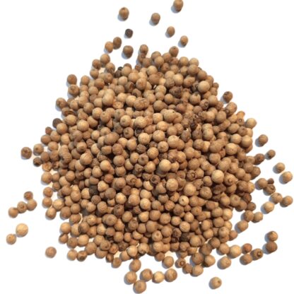 Pepper - White (whole seeds) - Muntok
