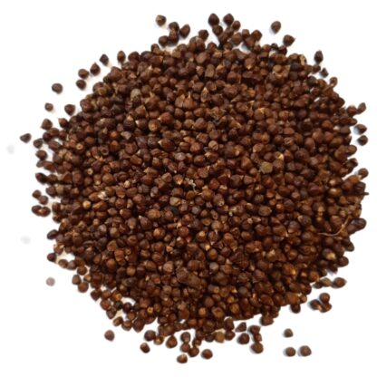 Pepper (Paradise-) (seed)