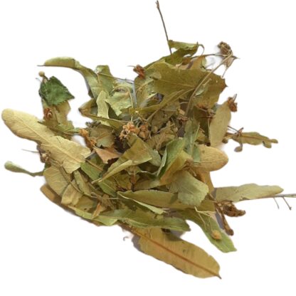 Linden (flower)