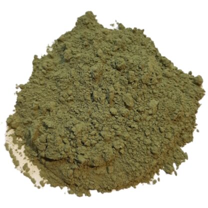 Andrographis (Herbe poudre)-