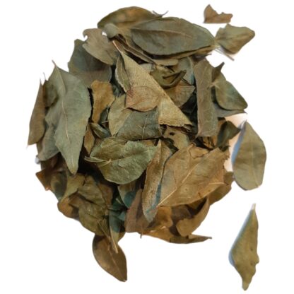 Curry - Kaloupile (leaf)
