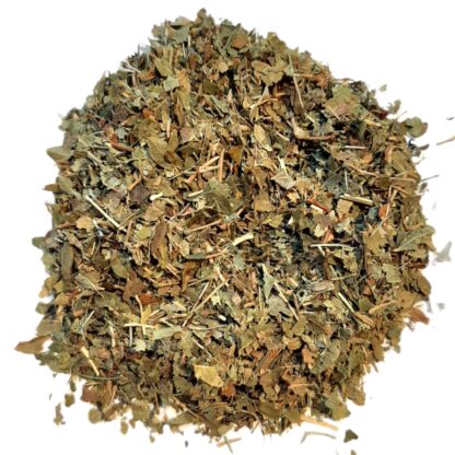 Blueberry (leaf)
