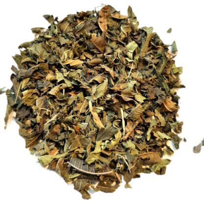 Verbena Lemon- (leaf cut)