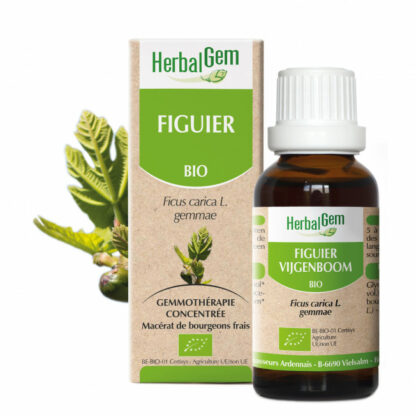 Vijgenboom 30ML - Herbalgem