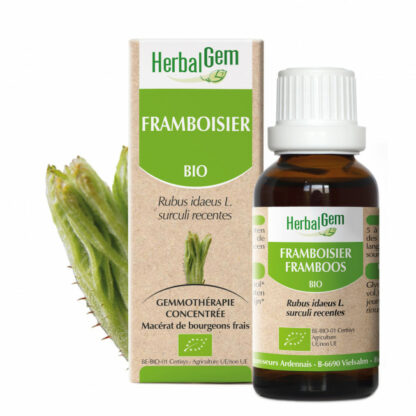 Framboos 30ML - Herbalgem