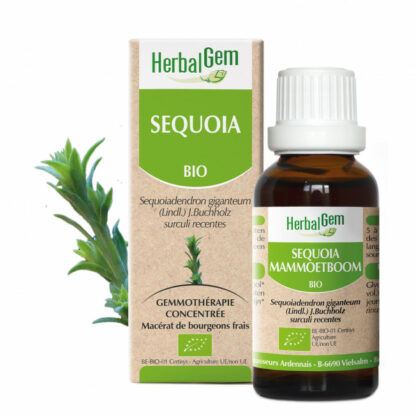 Séquoia 30ML - Herbalgem