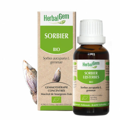 Mountain ash 30ML - Herbalgem